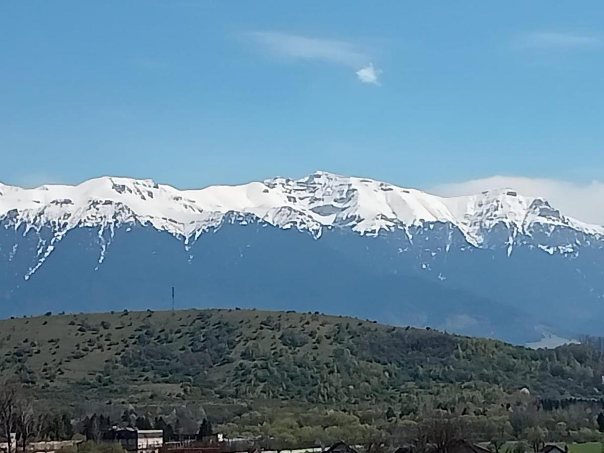 شقة Zărneşti  في Le Nid D'Adam المظهر الخارجي الصورة